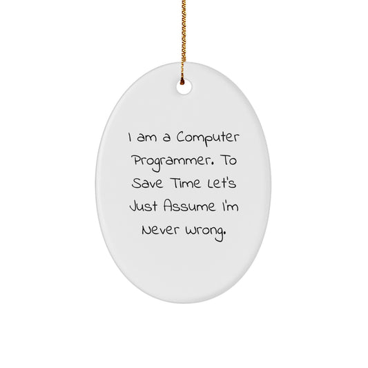 Funny Computer Programmer Oval Ornament Gifts from Friends for Men, Christmas Unique Gifts - Image 1
