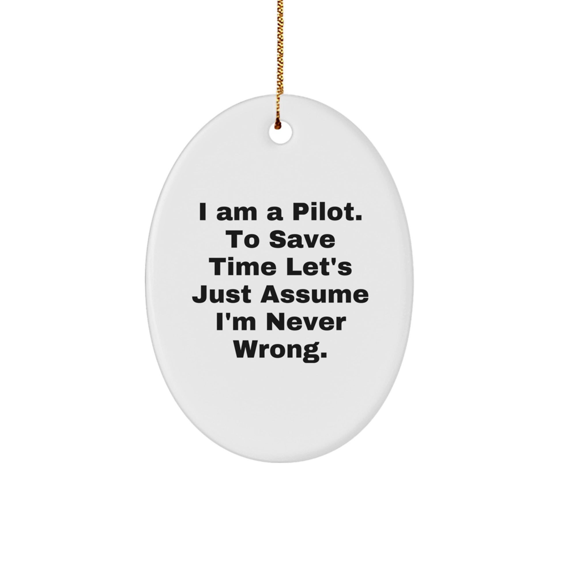 Funny Pilot Gifts for Christmas, Oval Ornament for Pilot Friends Family - Image 1