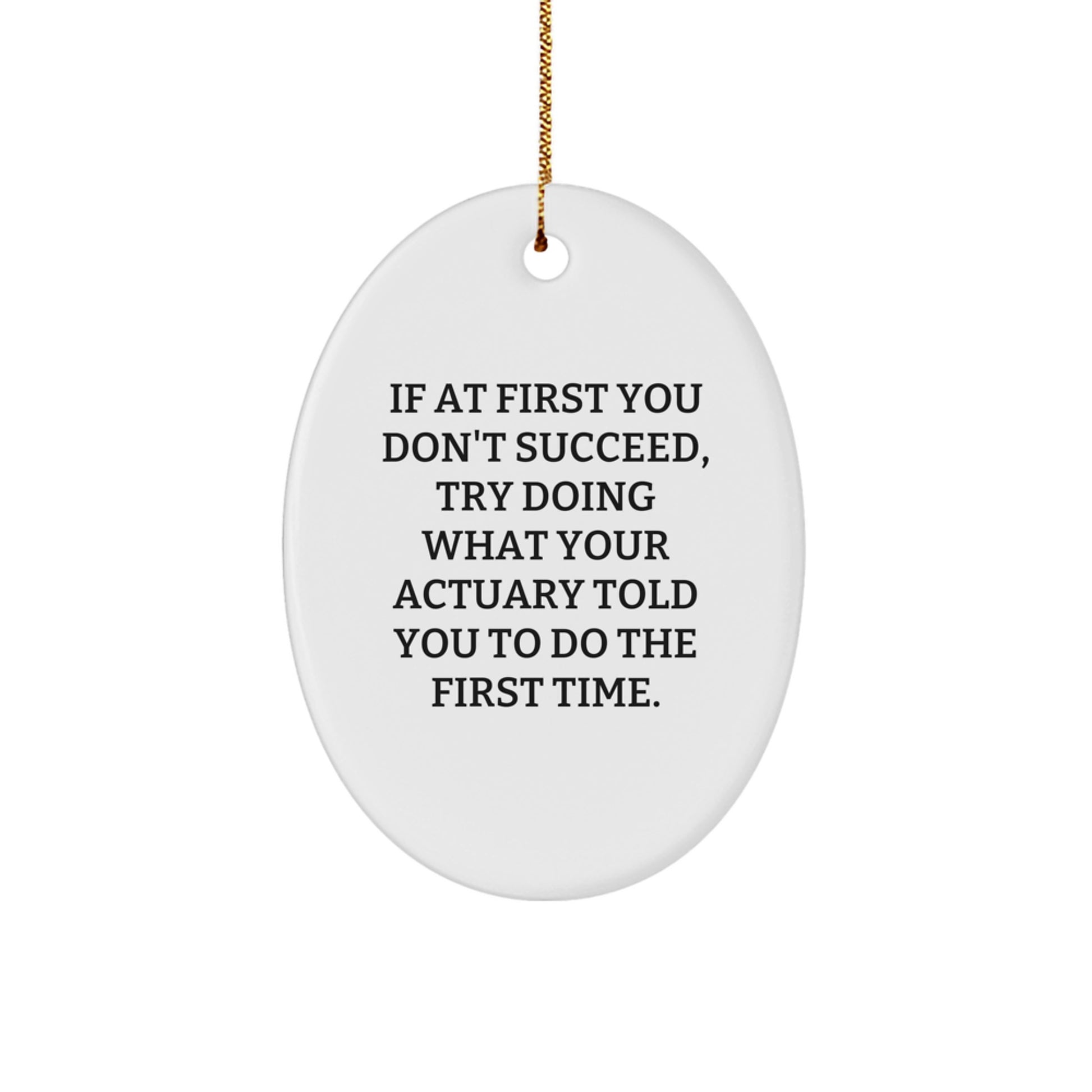 Funny Actuary Gifts for Actuary Friends and Family, Oval Ornament with Quote - Gifts from Men, Women, Coworkers - Image 1