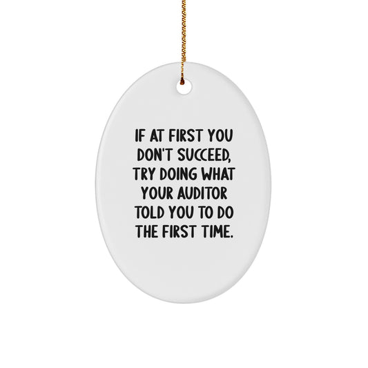 Auditor Oval Ornament Funny Quote Gifts from Friends, Gifts for Auditor, Christmas Unique Gifts - Image 1