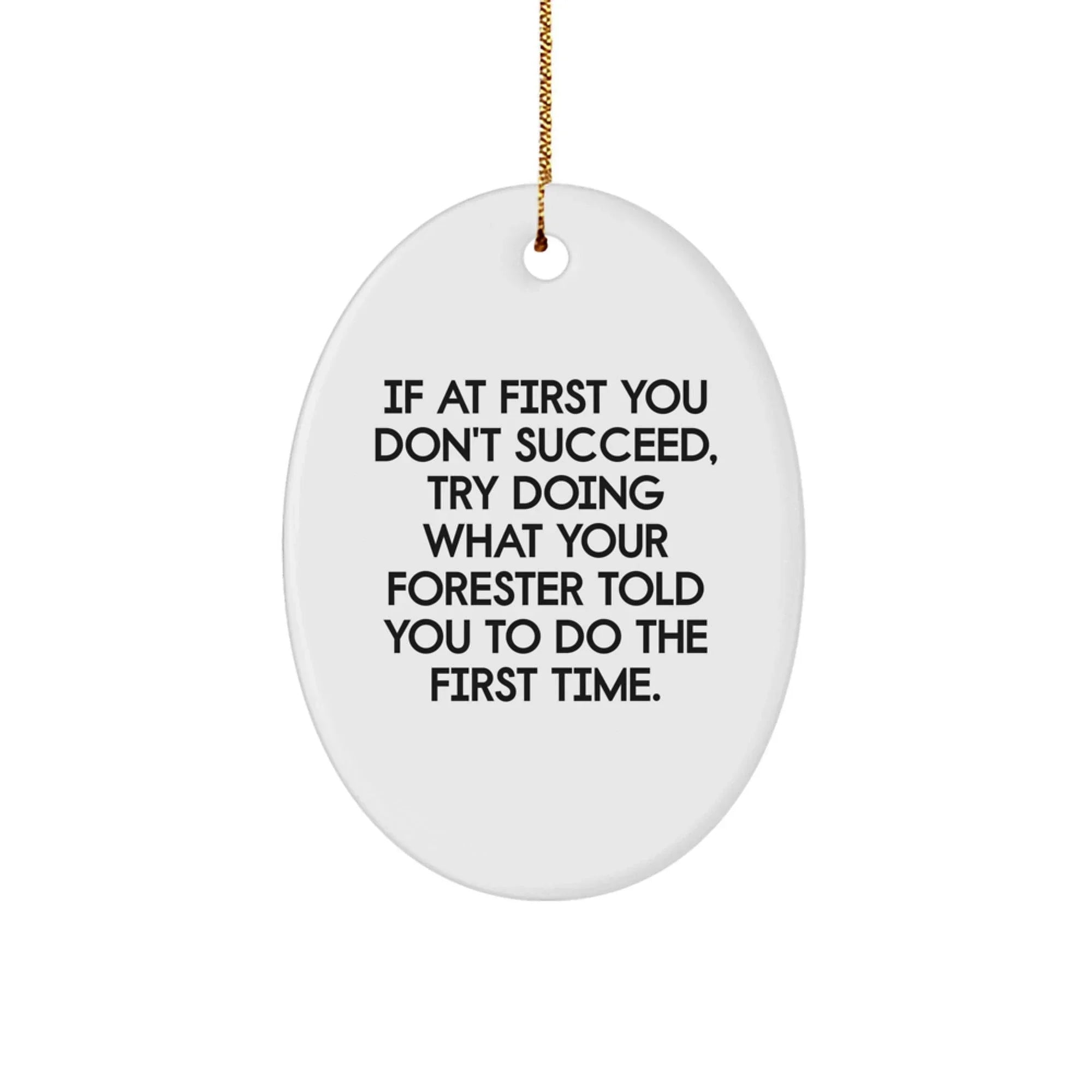 Funny Forester Oval Ornament Gifts from Friends for Men, Christmas Unique Gifts for Forester, Oval Ornament Decoration, If At First You Don't Succeed Quote