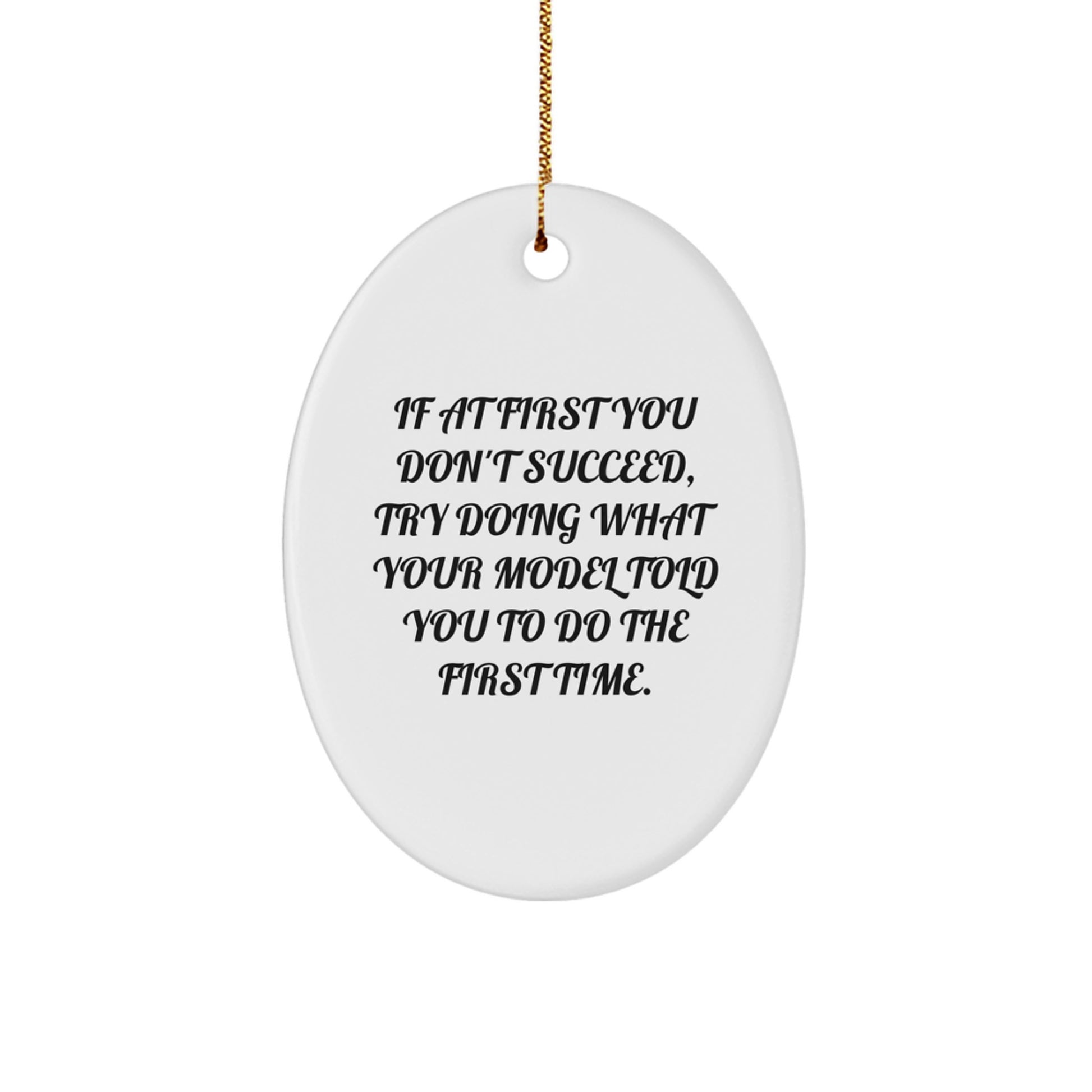 Funny Model Gifts from Friends - Oval Ornament for Model - If At First You Don't Succeed, Try Doing What Your Model Told You To Do The First Time. Christmas Unique Gifts for Family - Image 1