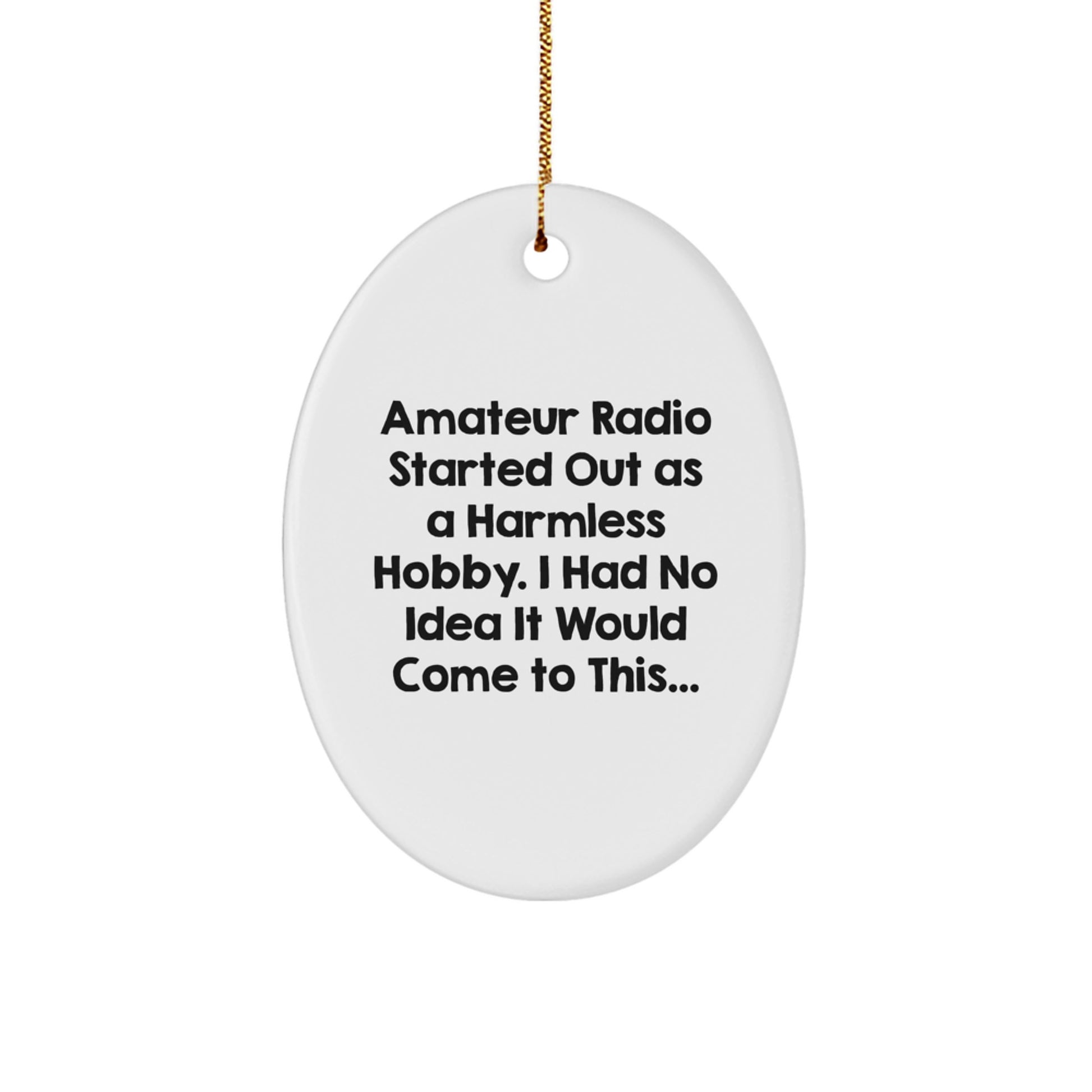 Amateur Radio Oval Ornament, Funny Quote Gifts from Family to Amateur Radio Enthusiasts, Christmas Unique Gifts for Men, Oval Shaped Decorative Items - Image 1