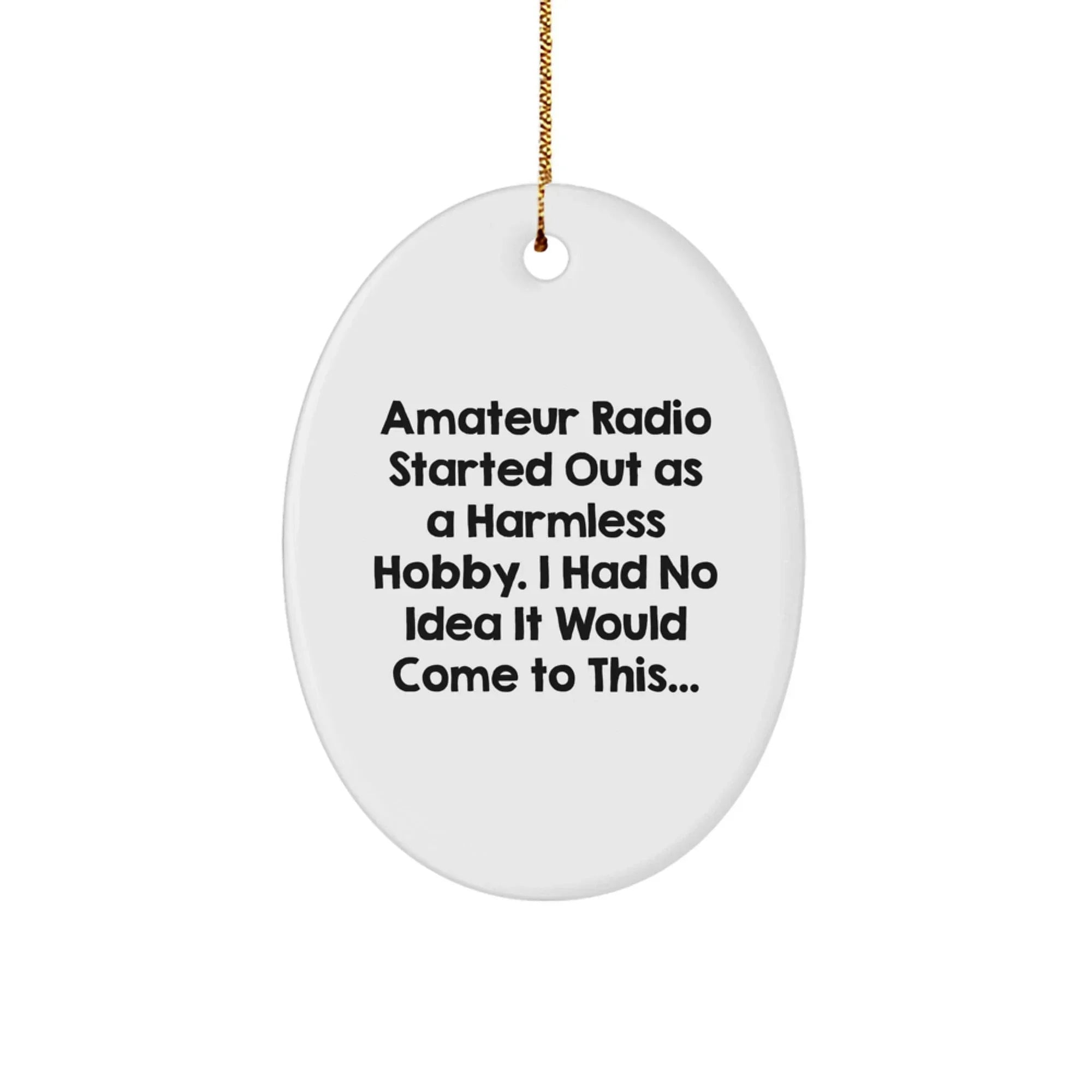 Amateur Radio Oval Ornament, Funny Quote Gifts from Family to Amateur Radio Enthusiasts, Christmas Unique Gifts for Men, Oval Shaped Decorative Items