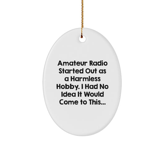 Amateur Radio Oval Ornament, Funny Quote Gifts from Family to Amateur Radio Enthusiasts, Christmas Unique Gifts for Men, Oval Shaped Decorative Items - Image 1