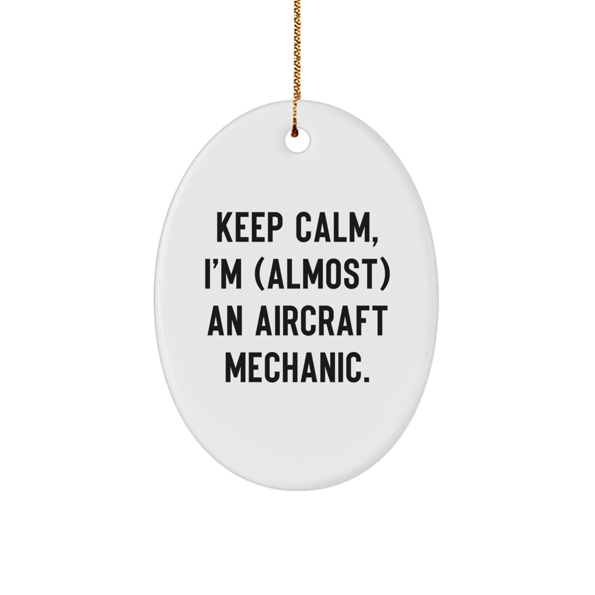 Funny Aircraft Mechanic Oval Ornament Gifts for Men Christmas Unique Presents from Friends - Image 1