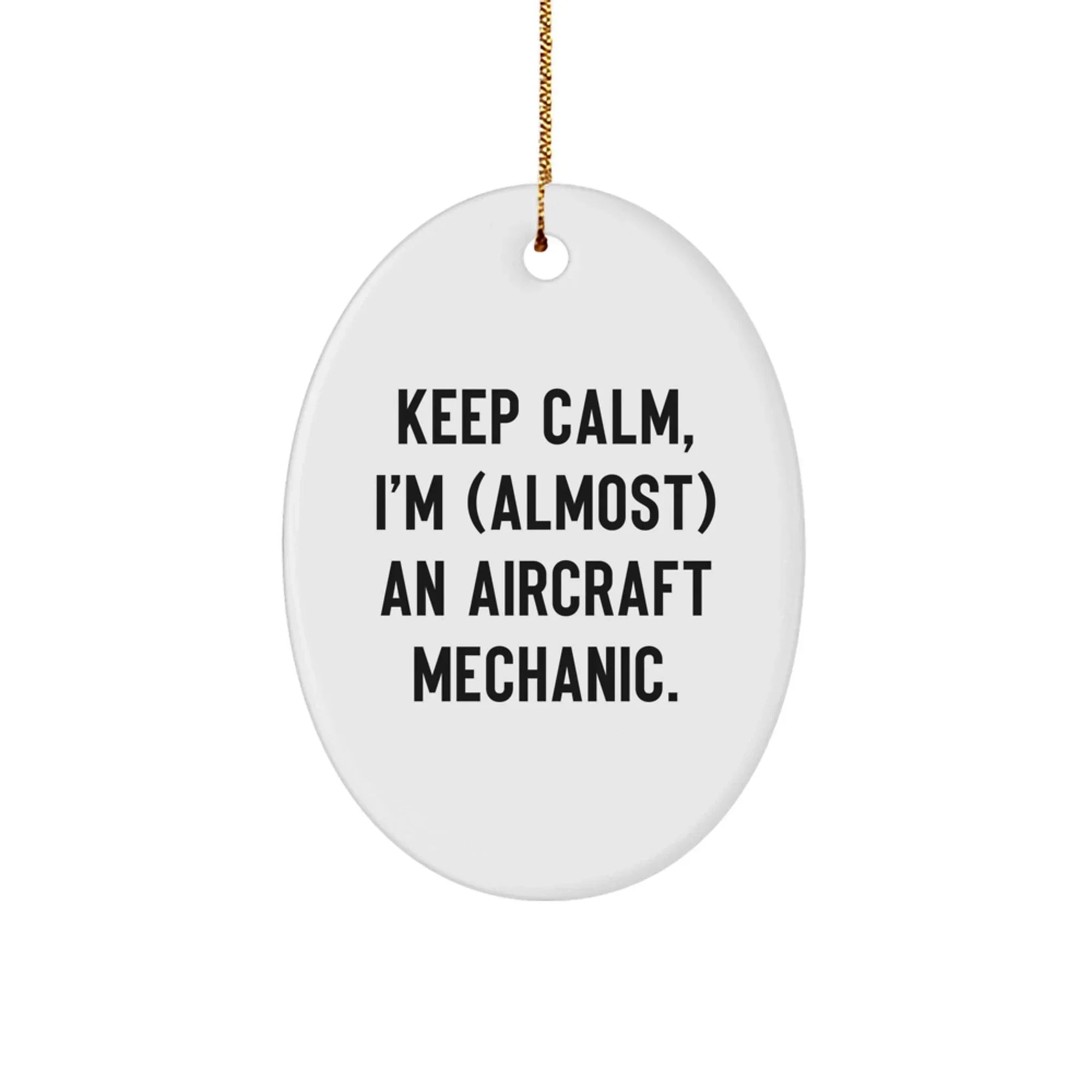Funny Aircraft Mechanic Oval Ornament Gifts for Men Christmas Unique Presents from Friends