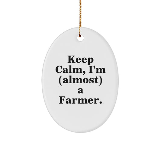 Funny Farmer Gifts for Men Oval Ornament Keep Calm I'm almost a Farmer - Unique Christmas Unique Gifts from Friends - Image 1