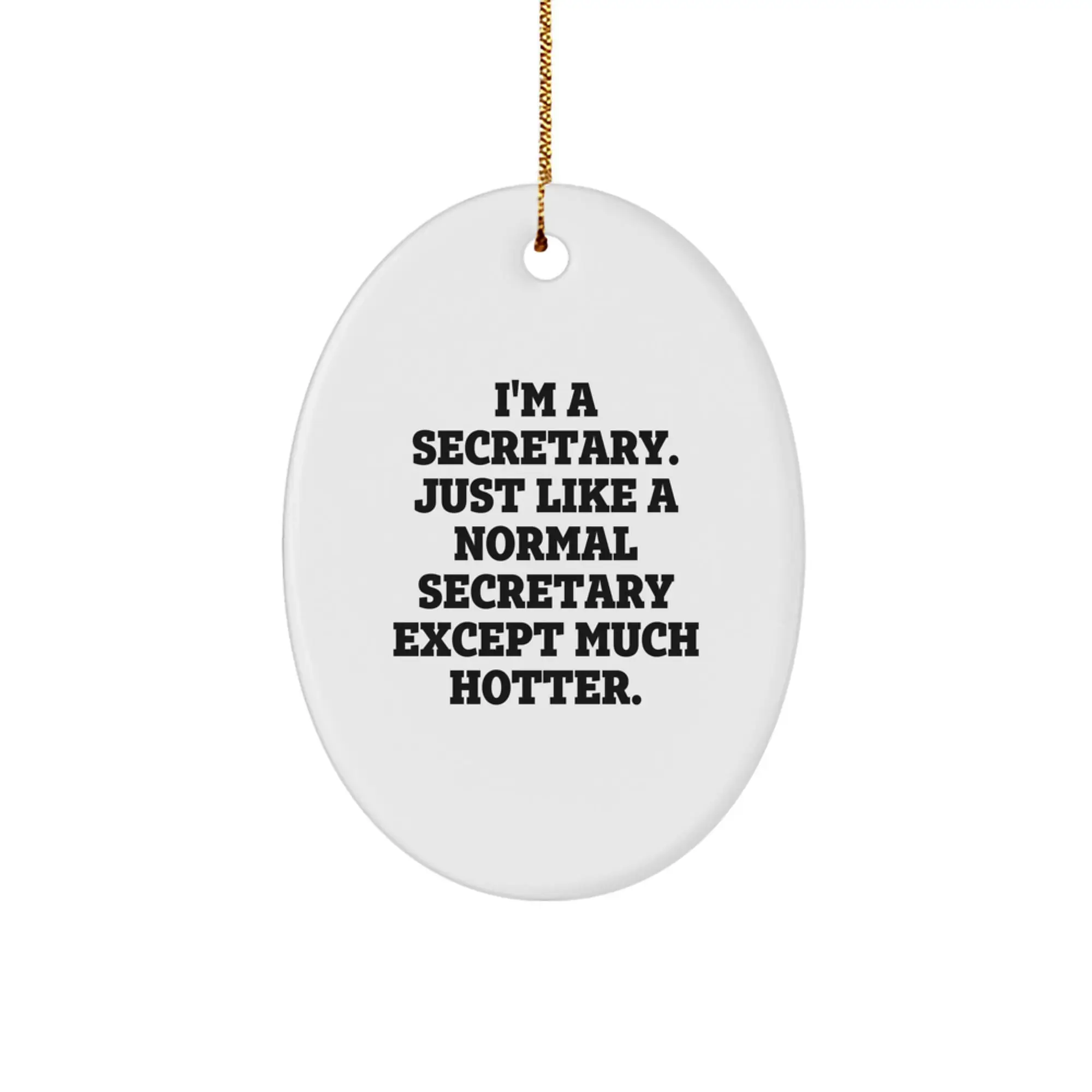 Funny Secretary Oval Ornaments for Christmas, Gifts from Friends, Coworkers, Family for Women, Men, Secretary, Christmas Unique Gifts, Oval Ornament Secretary Gifts - Image 1