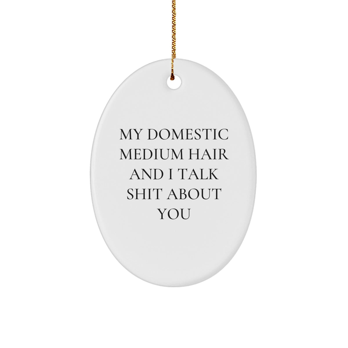 Gift Christmas Ornament for Kids Domestic Medium Hair Cat And I Talk - Image 1