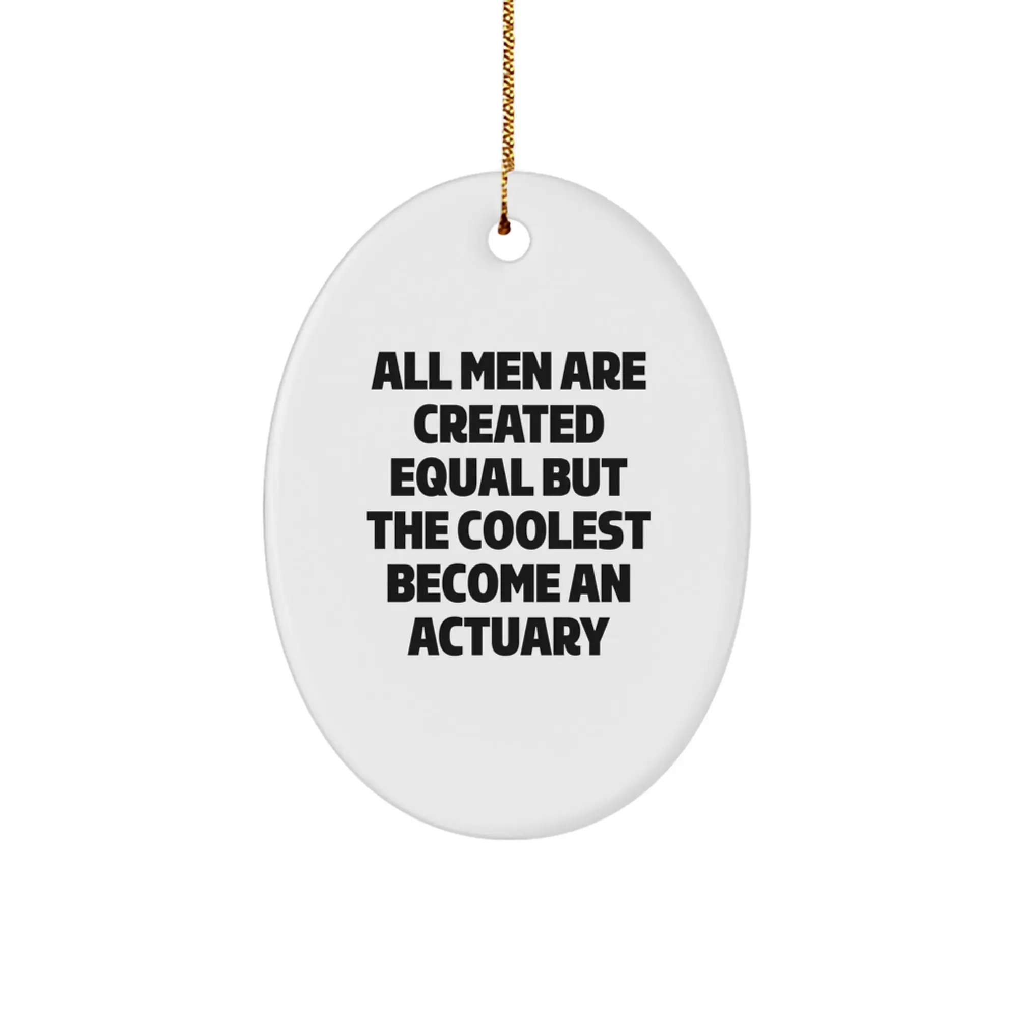 Funny Actuary Gifts from Men, Oval Shaped Christmas Unique Ornaments for Actuary Friends, Coolest Become Actuary Quote Decorative - Image 1