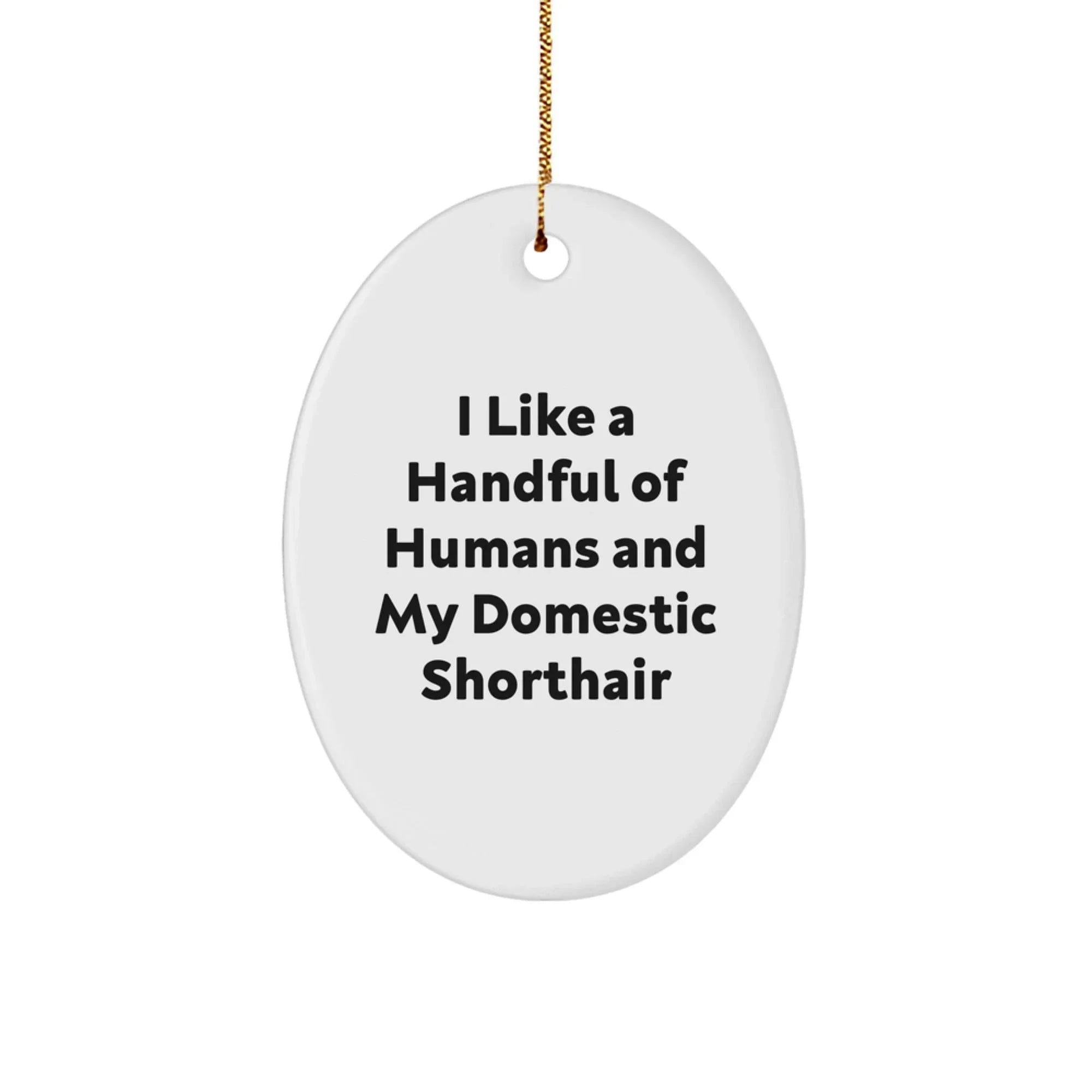 Funny Domestic Shorthair Cat Oval Ornament Gifts for Men and Women Friends Family