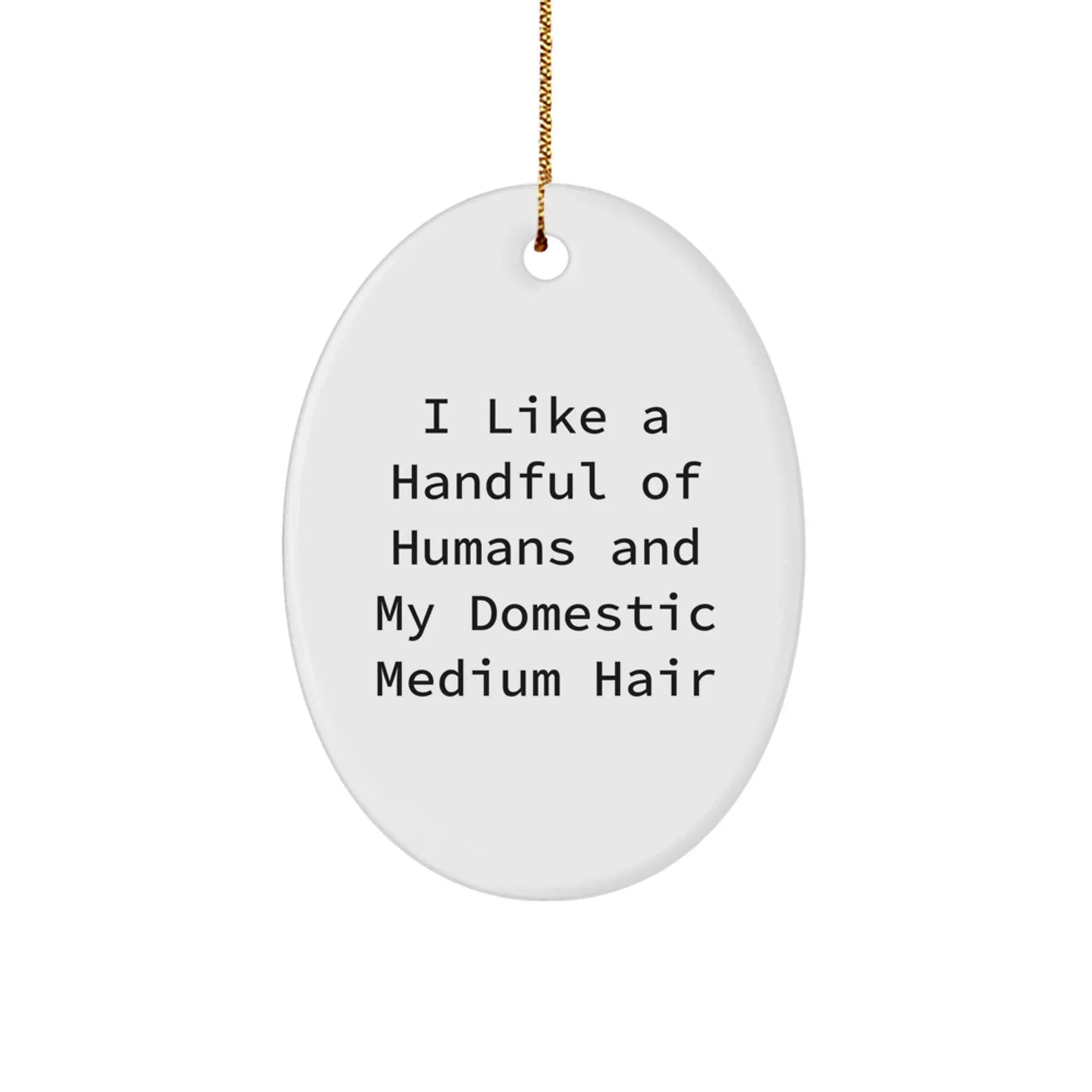 Funny Domestic Medium Hair Cat Oval Ornament Gifts from Friends for Christmas Decorations, I Like A Handful Of Humans And My Domestic Medium Hair Cats Lover
