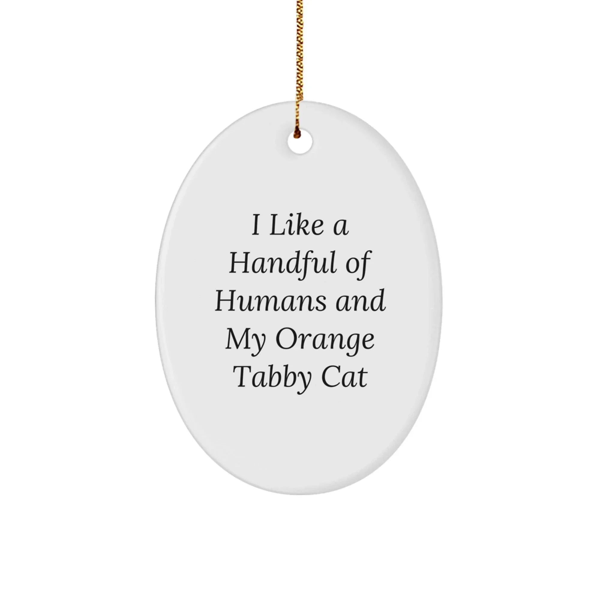 Funny Orange Tabby Cat Lover Gifts for Men or Women - Orange Tabby Cat Oval Ornament for Christmas Unique Gifts from Friends or Family