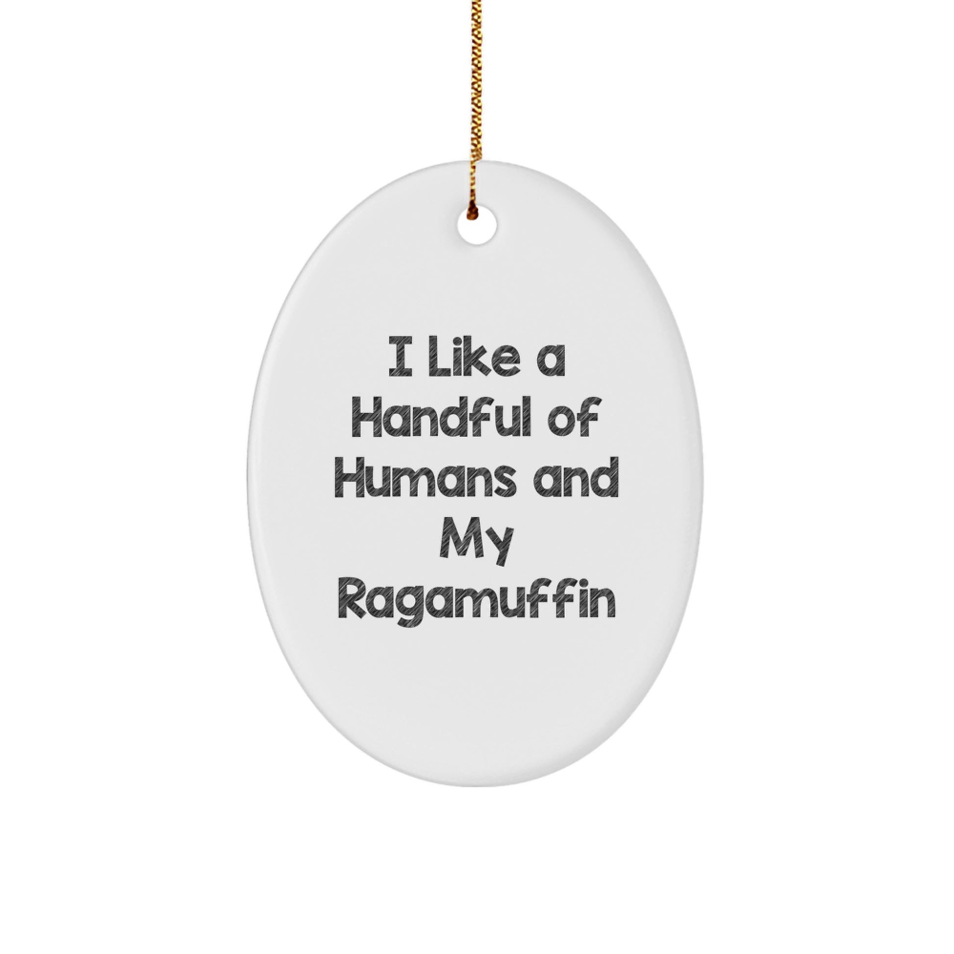 Ragamuffin Cat Oval Ornament Funny Quote Gifts from Family for Christmas Decor - Image 1