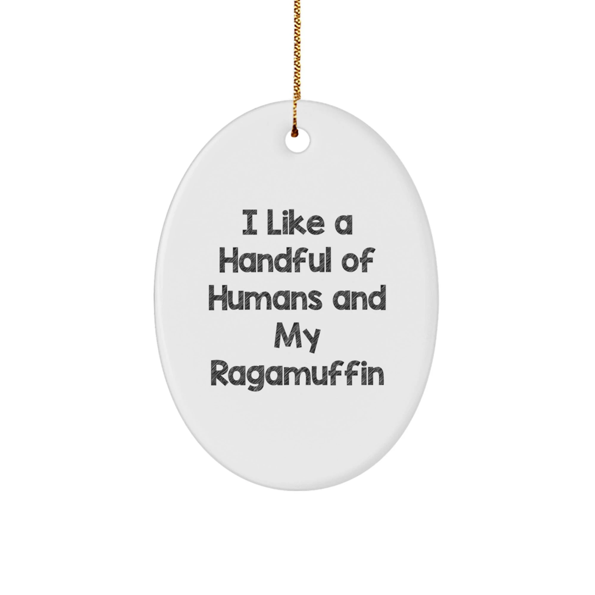 Ragamuffin Cat Oval Ornament Funny Quote Gifts from Family for Christmas Decor