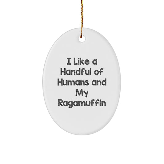 Ragamuffin Cat Oval Ornament Funny Quote Gifts from Family for Christmas Decor - Image 1