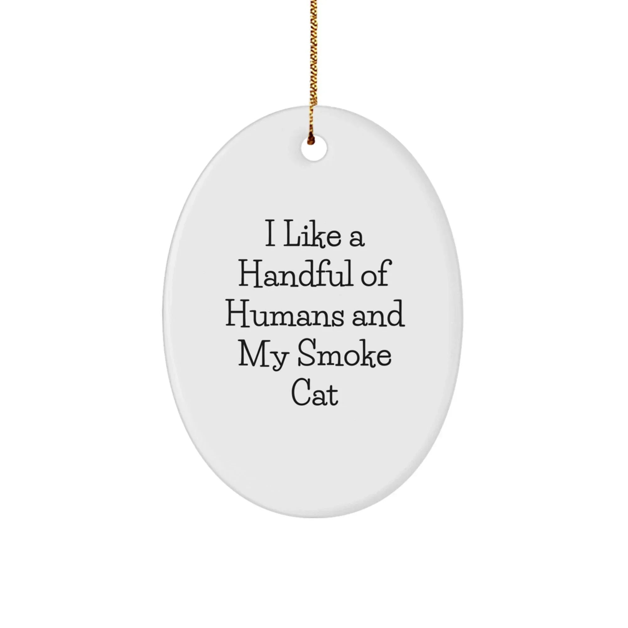 Funny Smoke Cat Oval Ornament Gifts from Family for Smoke Cat Lovers - Unique Christmas Decorations for Home - Oval Ornament with 'I Like A Handful Of Humans And My Smoke Cat' Quote