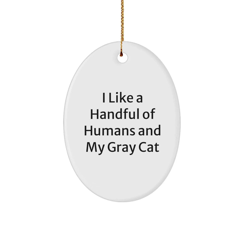 Funny Gray Cat Oval Ornament Gifts from Men to Women for Christmas Decorations - I Like A Handful Of Humans And My Gray Cat