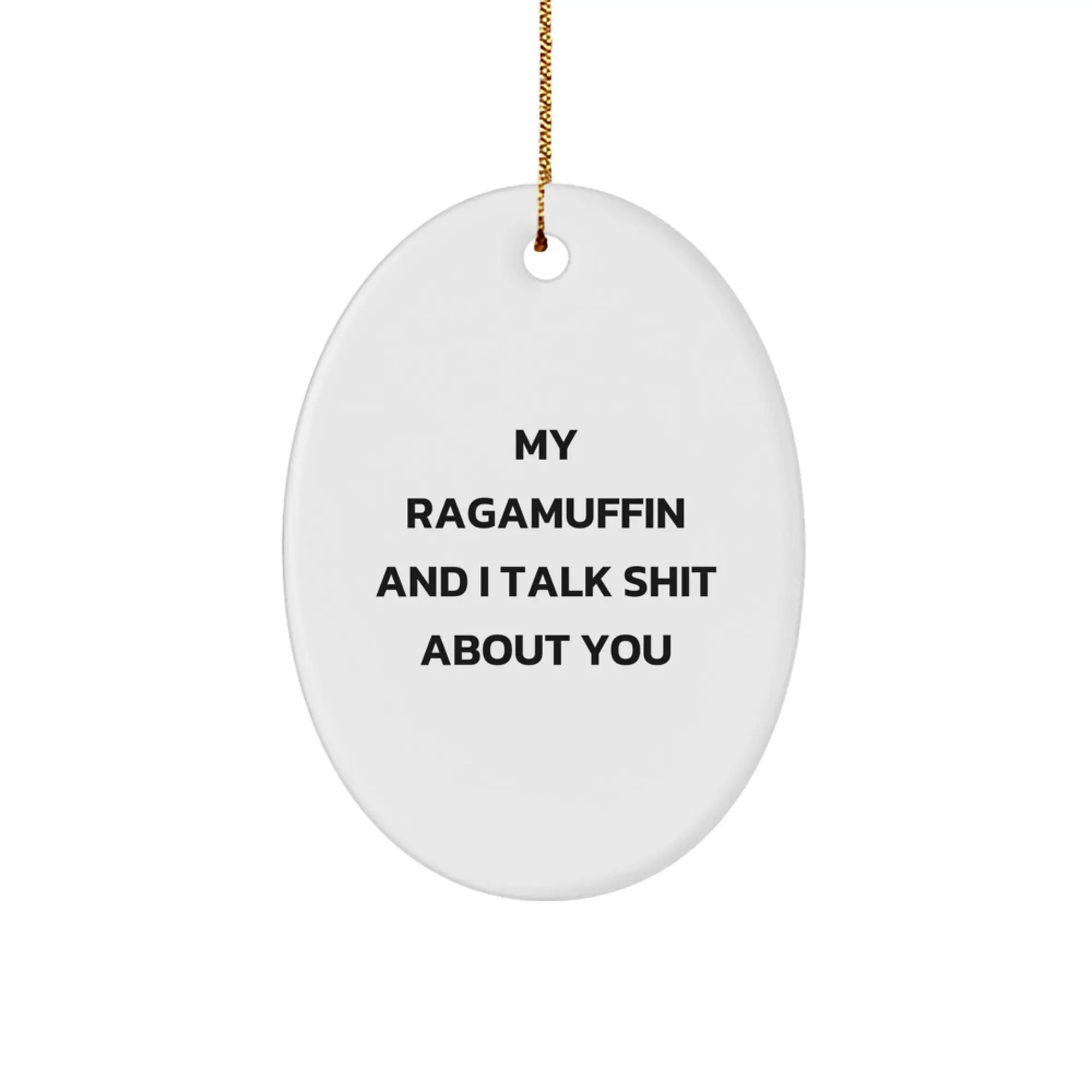 Funny Ragamuffin Cat Oval Ornament Gifts from Friends for Christmas Unique - Image 1