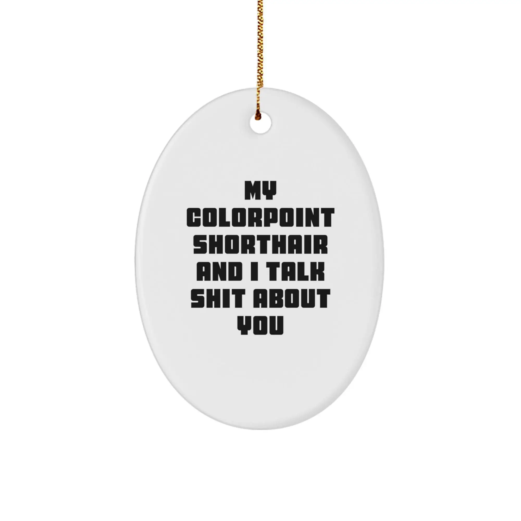 Colorpoint Shorthair Cat Oval Ornament Gifts from Friends - Funny Quote for Christmas Unique Gifts - Image 1