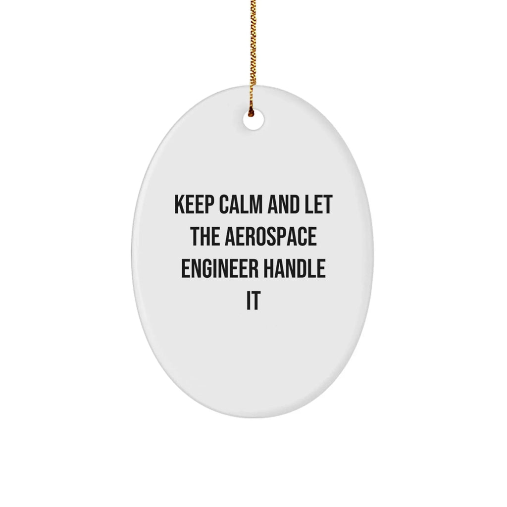 Aerospace Engineer Gifts, Keep Calm and Let the Pro Handle It, Oval Ornament, Christmas Unique Gifts from Friends