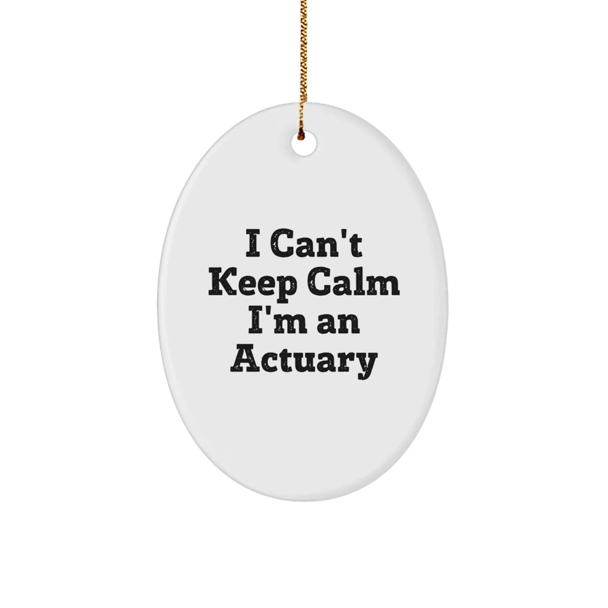 Funny Actuary Gifts from Friends, Unique Oval Ornament I Cant Keep Calm Im An Actuary, Christmas Decorations for Actuary Men Women Family