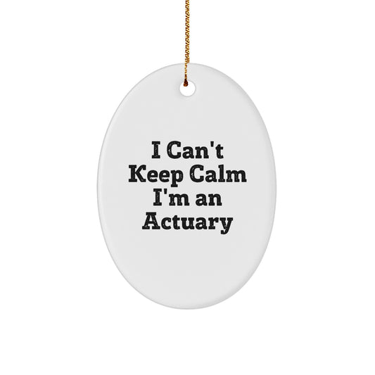 Funny Actuary Gifts from Friends, Unique Oval Ornament I Cant Keep Calm Im An Actuary, Christmas Decorations for Actuary Men Women Family - Image 1