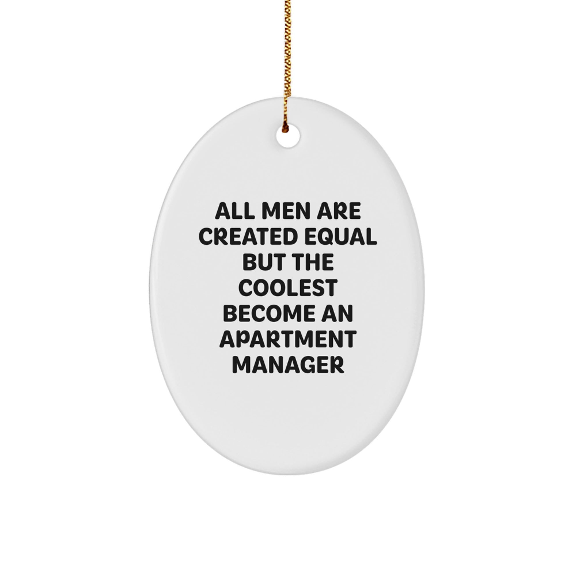 Funny Apartment Manager Oval Ornament Gifts from Men to Friends for Christmas Unique Decorations - Image 1
