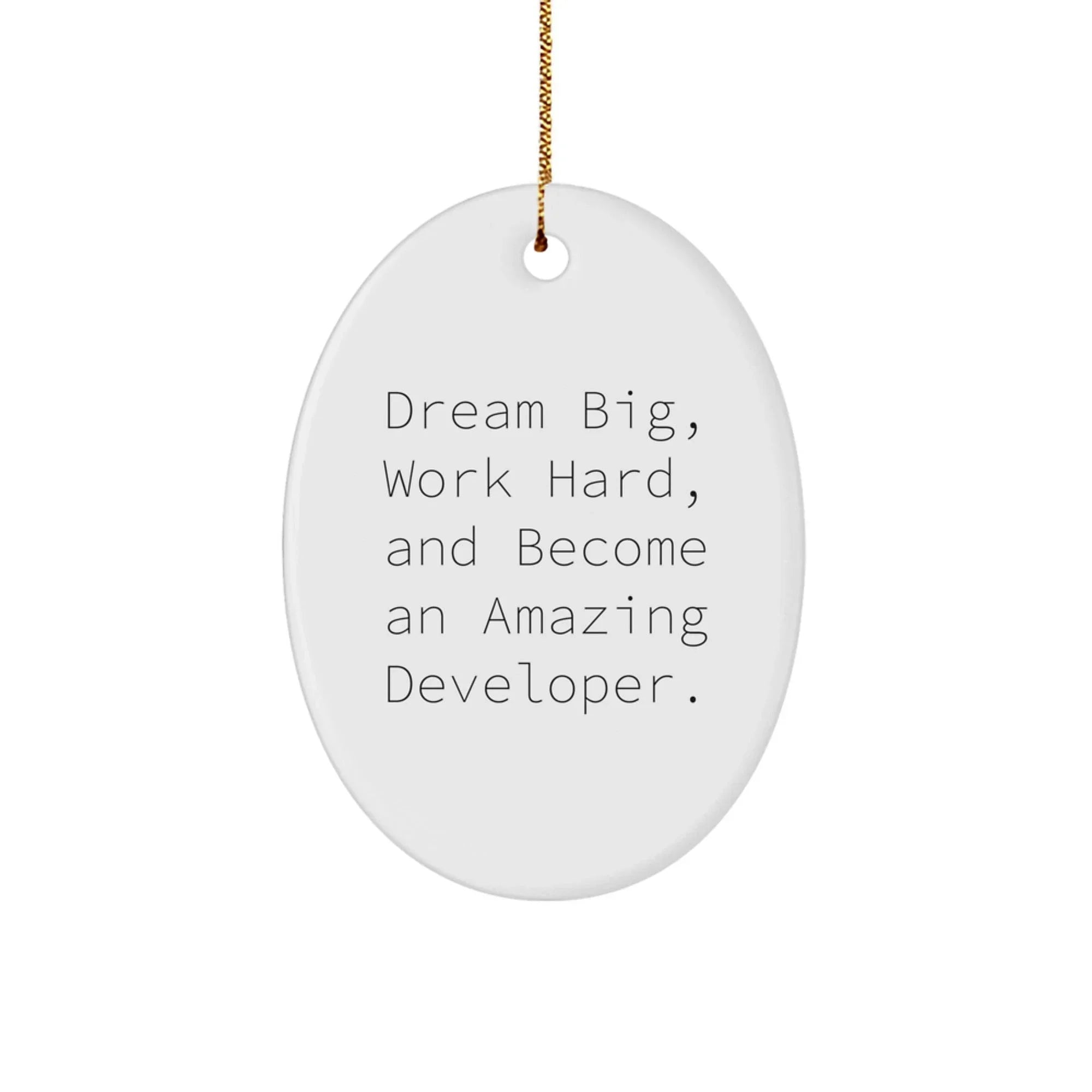Developer Oval Ornament Gifts from Friends for Men - Dream Big, Work Hard, Become Amazing - Christmas Unique Ornaments