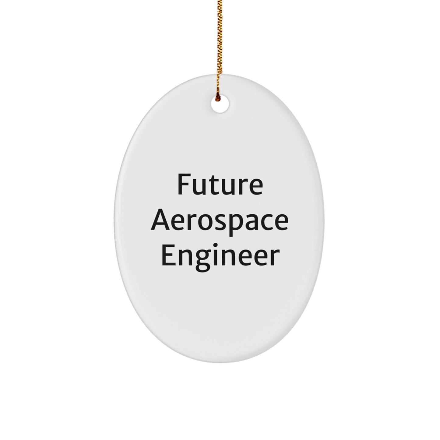 Inspirational Future Aerospace Engineer Oval Ornament Gifts from Family for Christmas - Image 1