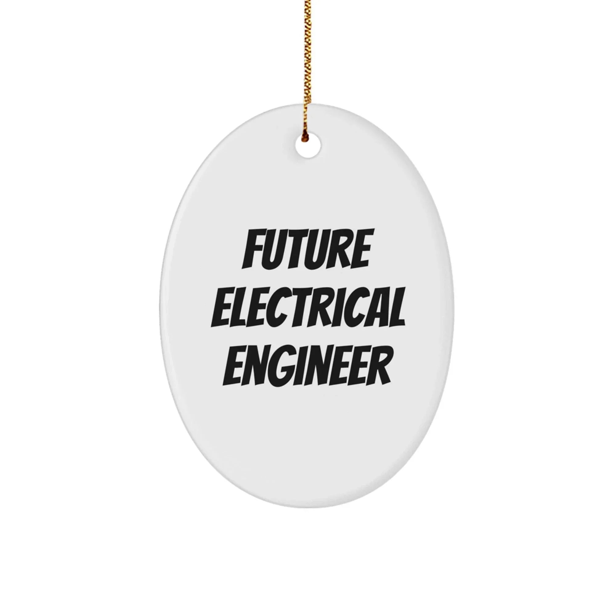 Funny Future Electrical Engineer Oval Ornament Gifts from Family, Friends, or Coworkers for Christmas Unique Decorations