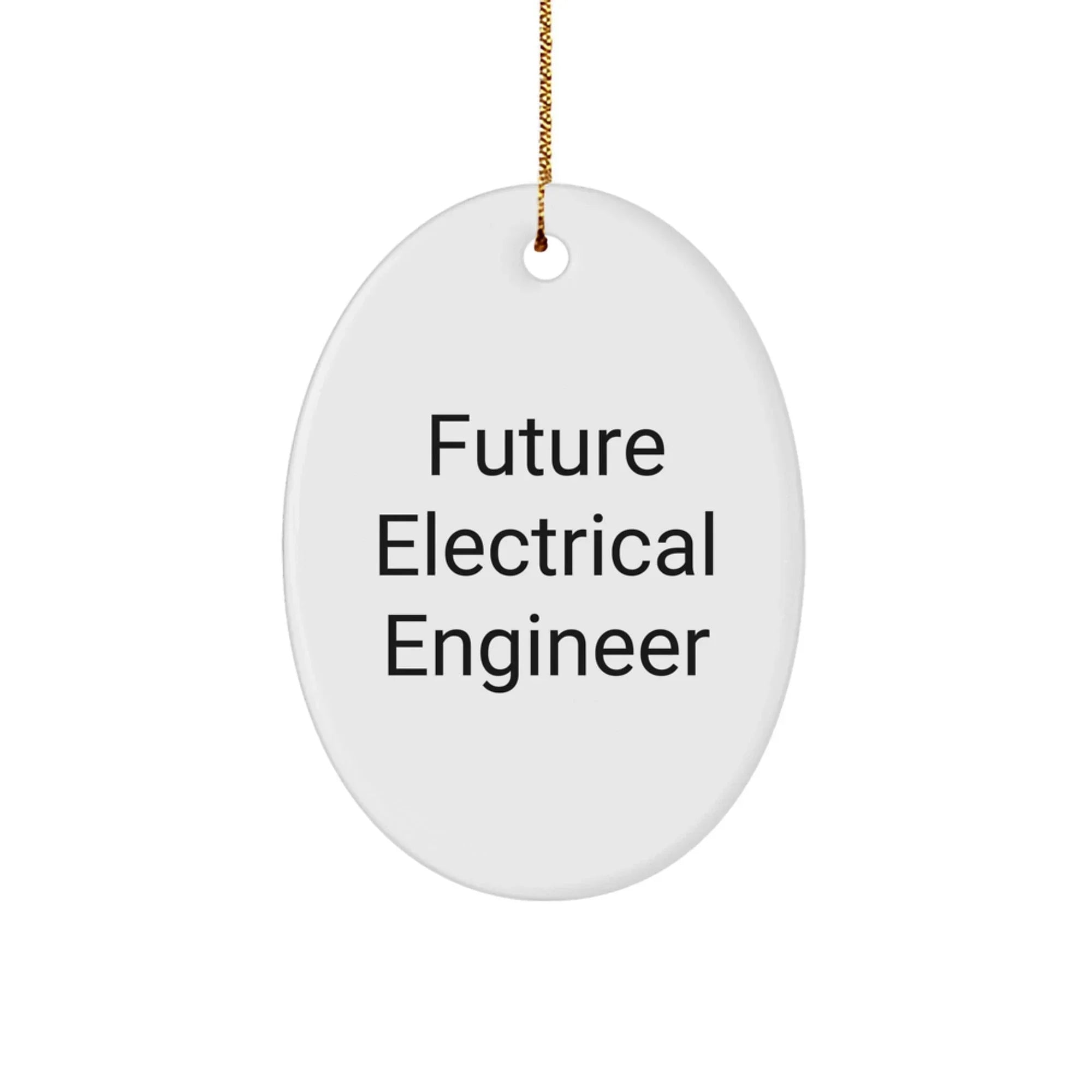 Funny Future Electrical Engineer Oval Ornament Gifts from Friends for Electrical Engineer Christmas Unique Gifts