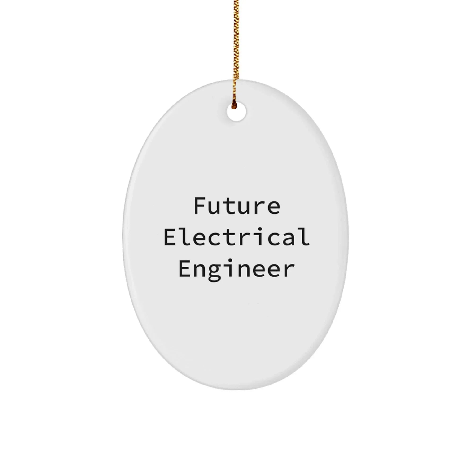 Unique Inspirational Gifts for Electrical Engineer Friend, Oval Ornament Funny Quote, Christmas Unique Gifts from Friends to Family