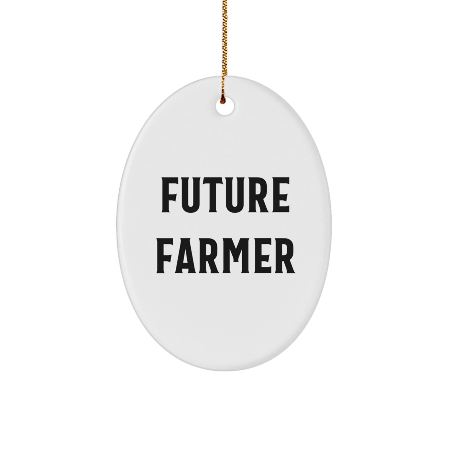 Funny Future Farmer Oval Ornament Gifts for Men from Family, Personalized Christmas Unique Gifts for Farming Enthusiasts - Image 1