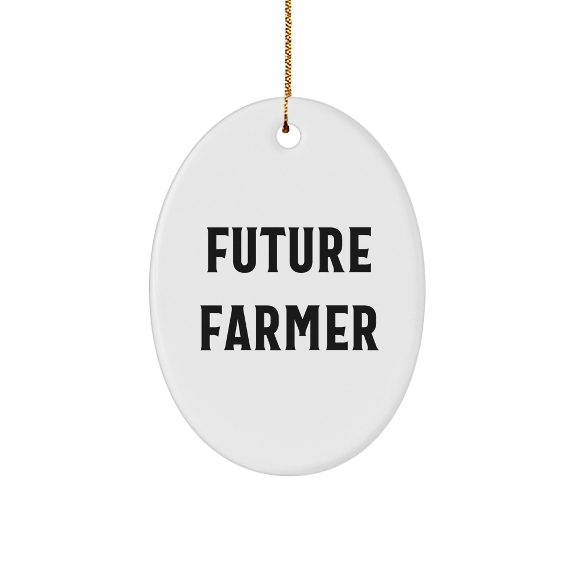 Funny Future Farmer Oval Ornament Gifts for Men from Family, Personalized Christmas Unique Gifts for Farming Enthusiasts - Image 1
