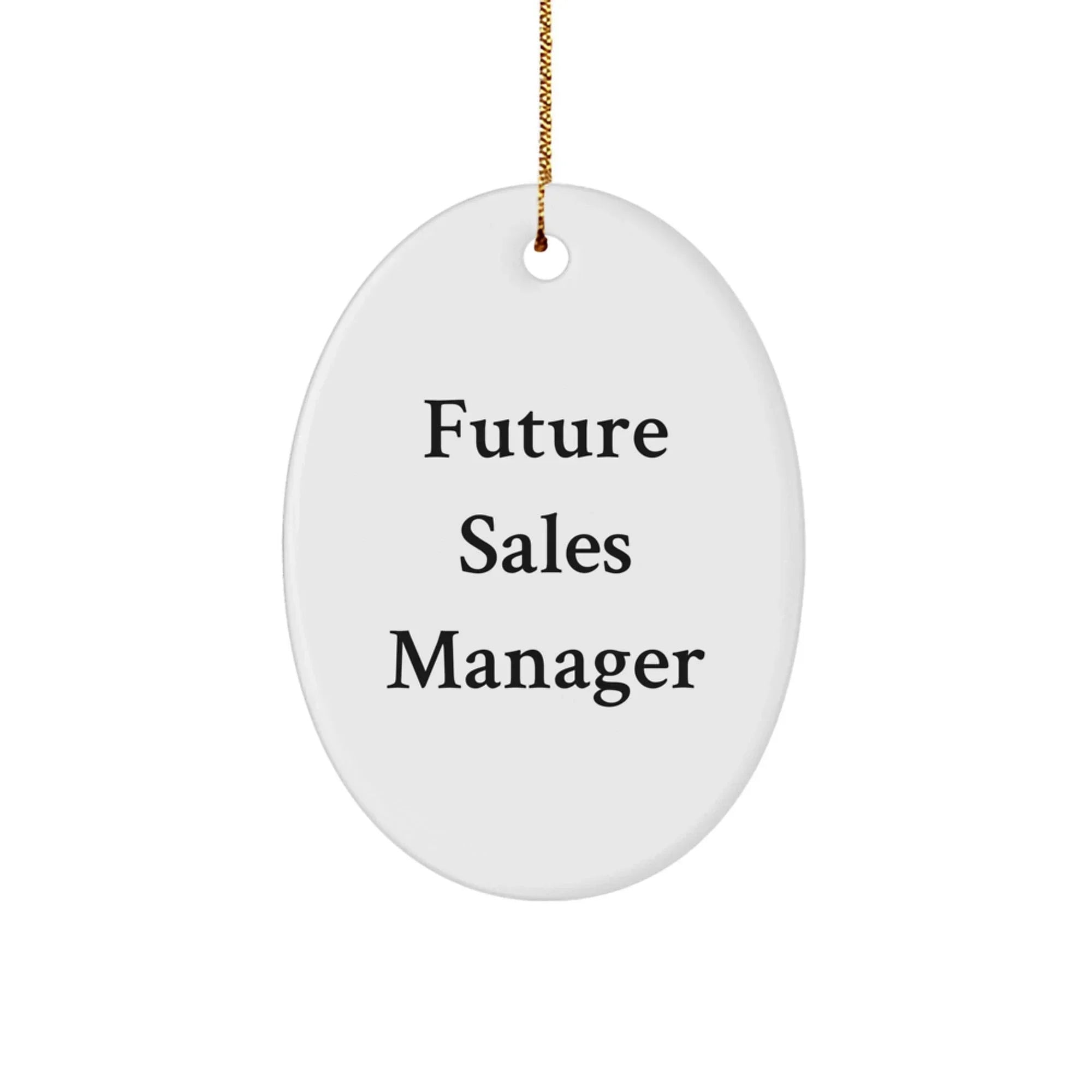 Funny Sales Manager Oval Ornament Gifts for Future Sales Managers from Coworkers, Christmas Unique Gifts for Sales Managers, Inspirational Oval Shaper