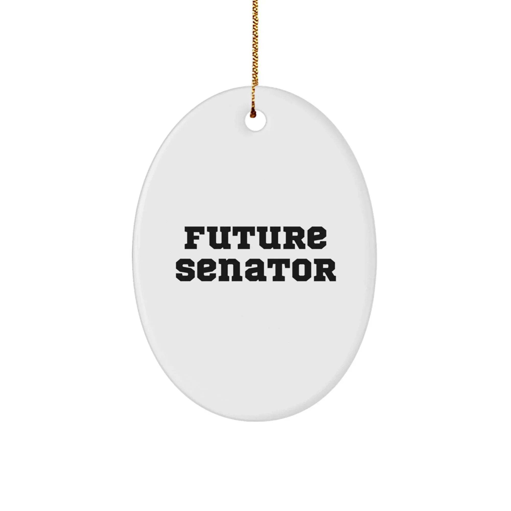 Funny Senator Future Leader Oval Ornament, Gifts from Family for Future Senator, Unique Christmas Unique Gifts