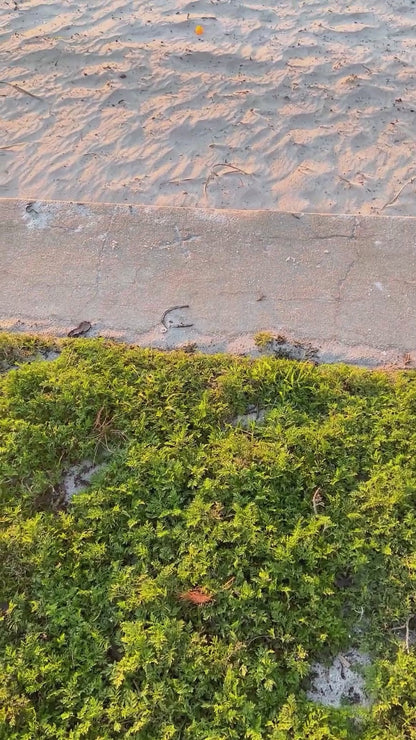 Gift for Wife - I Can't Live without You - Love Knot Pendant Necklace with Message and Gift Box