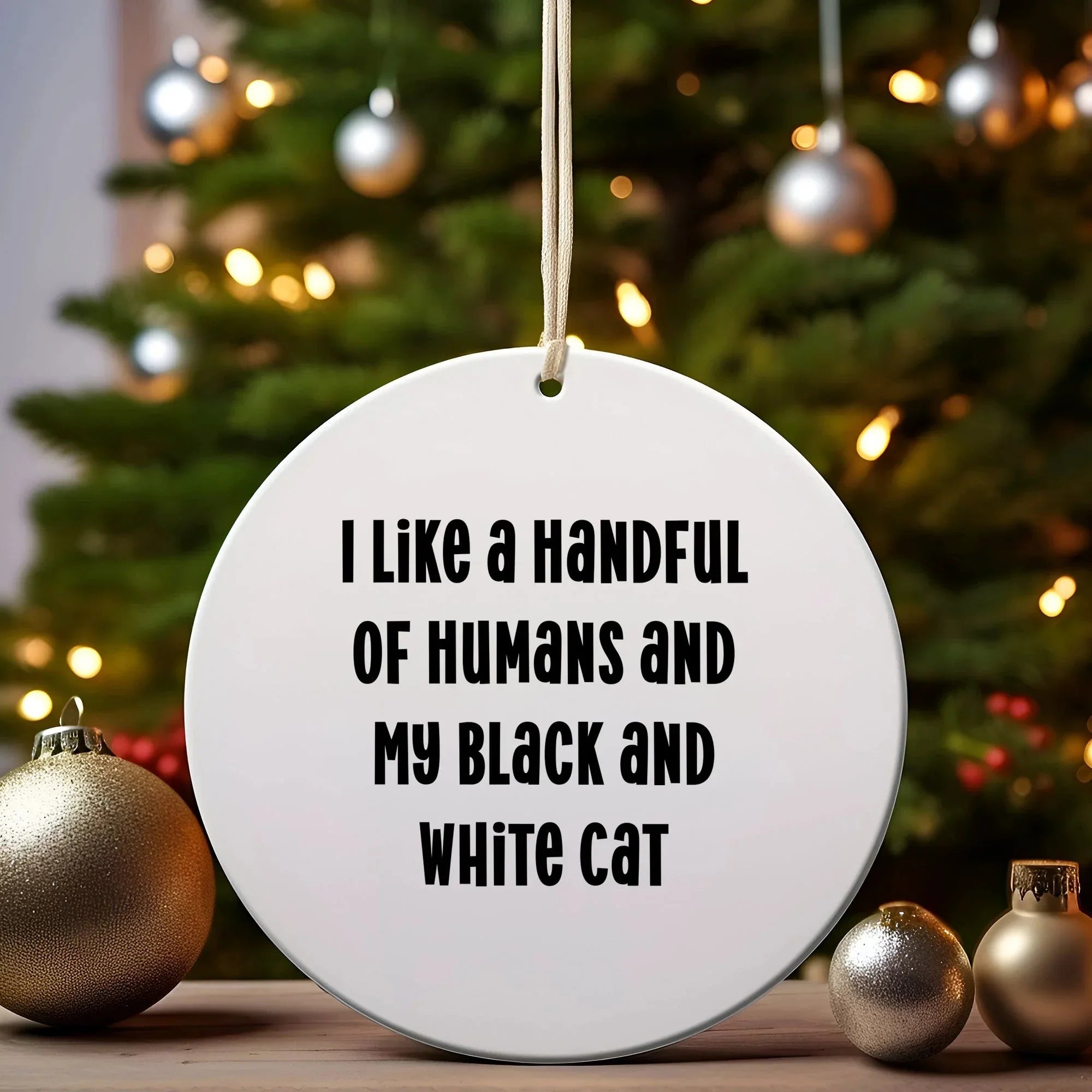 Funny Black and White Cat Christmas Ornaments- I Like A Handful Of Humans And My Black And White Cat