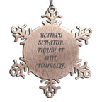 Funny Senator Gifts from Friends Unique Snowflake Ornament for Men, Women, Coworkers, Family, Senator, Retired Senator Figure It Out Yourself