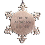 Funny Aerospace Engineer Inspirational Christmas Steel Snowflake Ornament - Future Aerospace Engineer