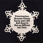 Funny Veterinarian Snowflake Ornament Christmas Decorations, Stainless Steel Shatterproof - Veterinarian Because Classy Sassy And A Bit Bad Assy Is Not An Official Job Title