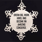 Concierge Gifts from Friends and Family, 'Dream Big, Work Hard, And Become An Amazing Concierge.' Snowflake Ornament, Shatterproof Stainless Steel, Christmas Unique Gifts
