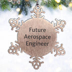 Funny Aerospace Engineer Inspirational Christmas Steel Snowflake Ornament - Future Aerospace Engineer