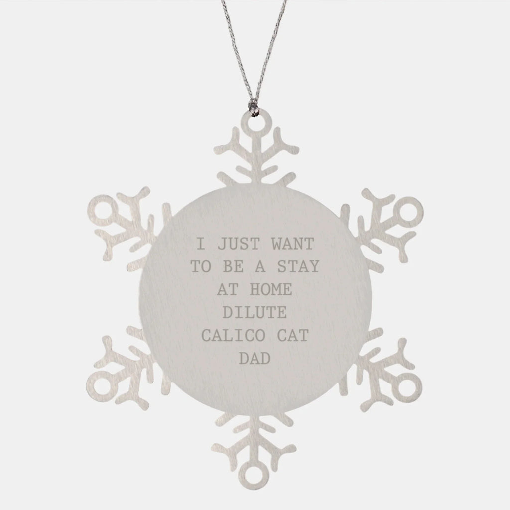 Dilute Calico Cat Dad Gifts, Snowflake Ornament, I Just Want To Be a Stay Home Dad, Funny Christmas Unique Gift from Family, Friends