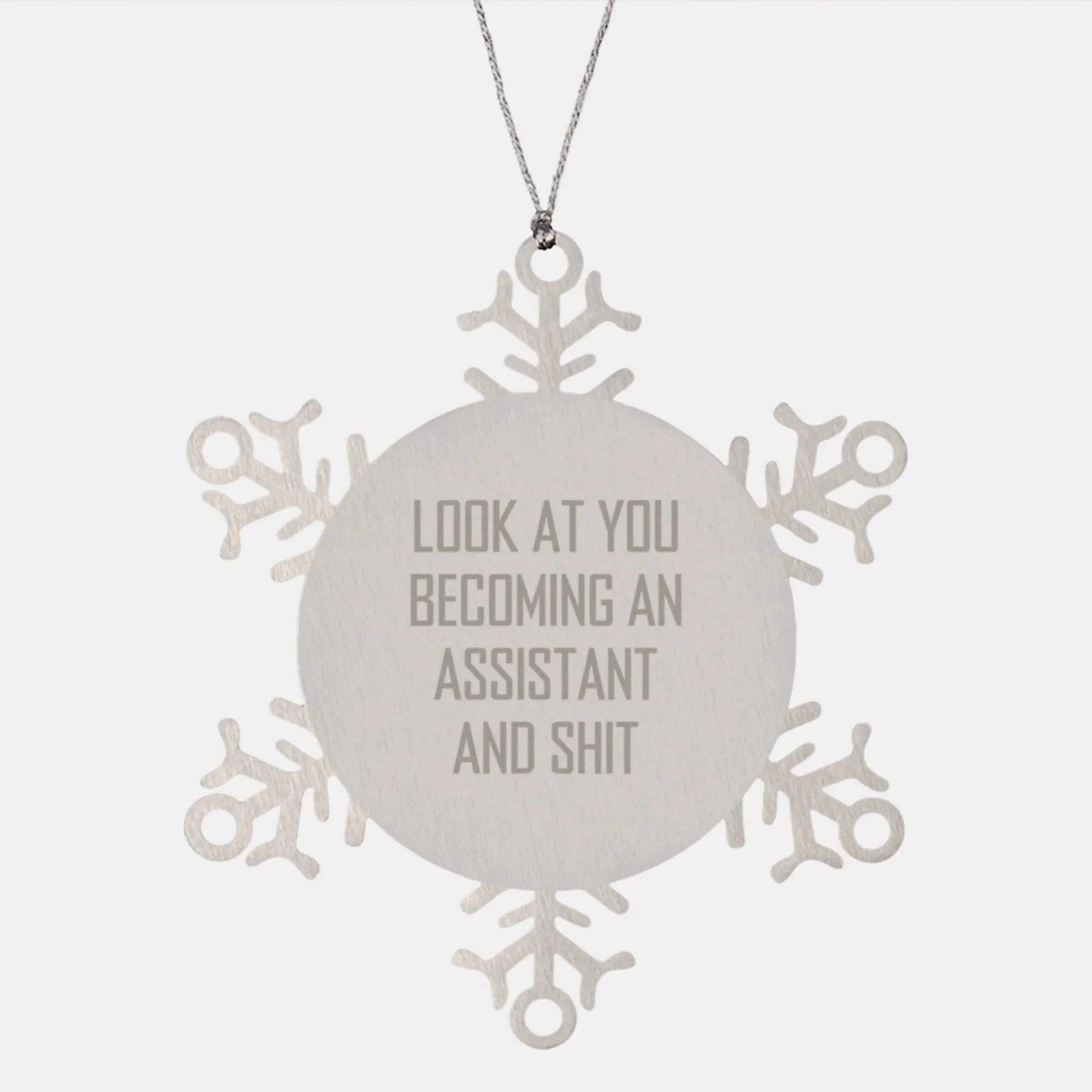 Funny Assistant Snowflake Ornament Gifts from Friends for Assistant, Unique Christmas Unique Gifts, Stainless Steel Snowflake Ornament, Assistant Snowflake Decoration, Assistant Christmas Unique Gift