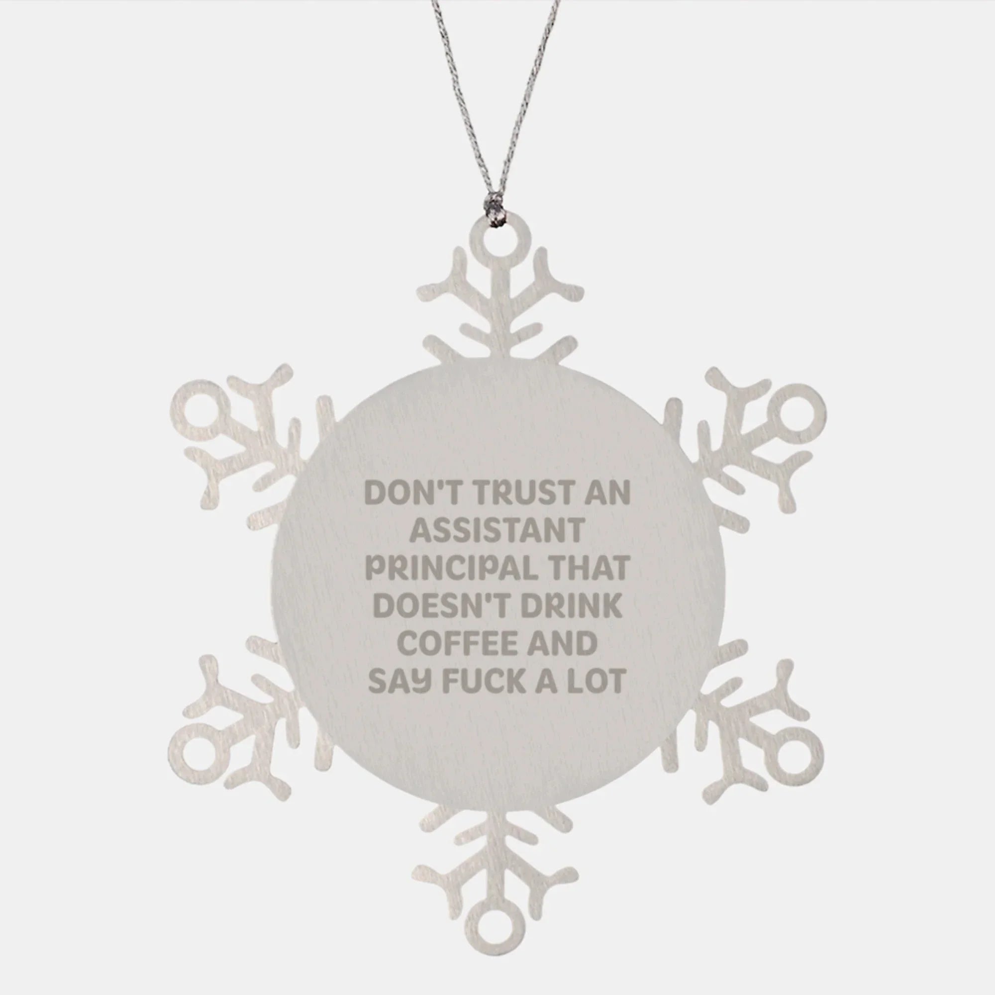 Funny Snowflake Ornament Gifts from Men to Assistant Principal Friends Coworkers Family at Christmas Unique Ideas