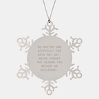 Funny Christmas Unique Gifts for Assistants, Snowflake Ornament, Never Forget the Reason You Became an Assistant, Gifts from Friends and Family - Image 1