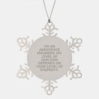 Gifts from Aerospace Engineers for Men, Funny Snowflake Ornament Christmas Unique Gifts, I'm an Aerospace Engineer Quote